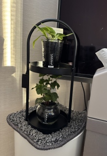 �O���[��