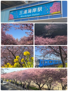 �O�Y�C�ݍ��܂�🌸