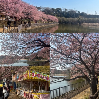 �������r����🌸