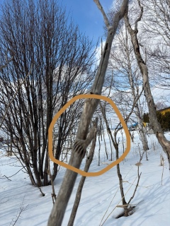 �F���l�̎�H