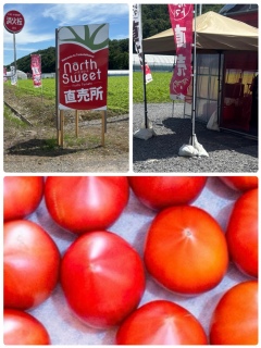 North��Sweet������
